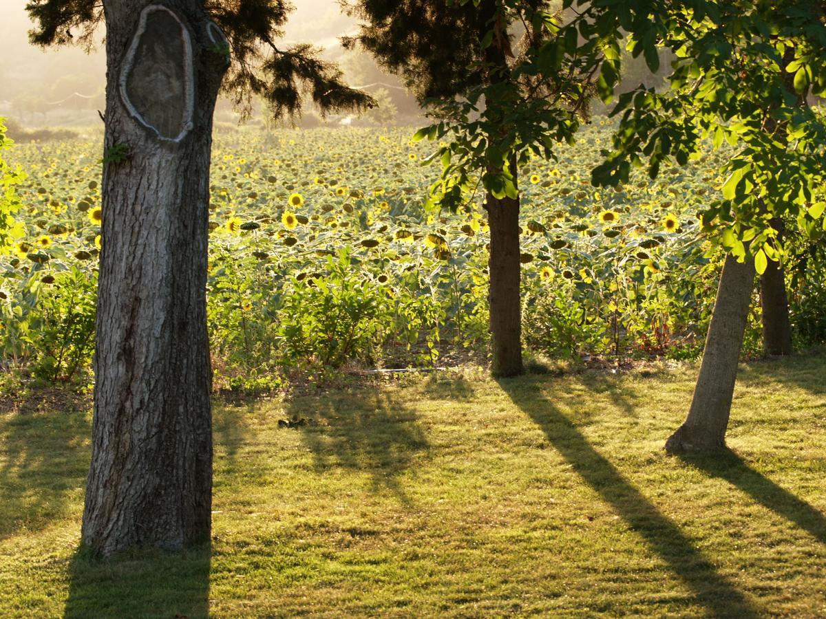Bed and Breakfast Domaine De Luzenac Val-du-Faby Exterior foto